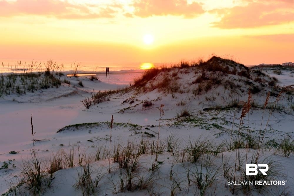 375 Beach Club Trail, Unit A404 Gulf Shores, AL 36542 - Photo 49 of 49