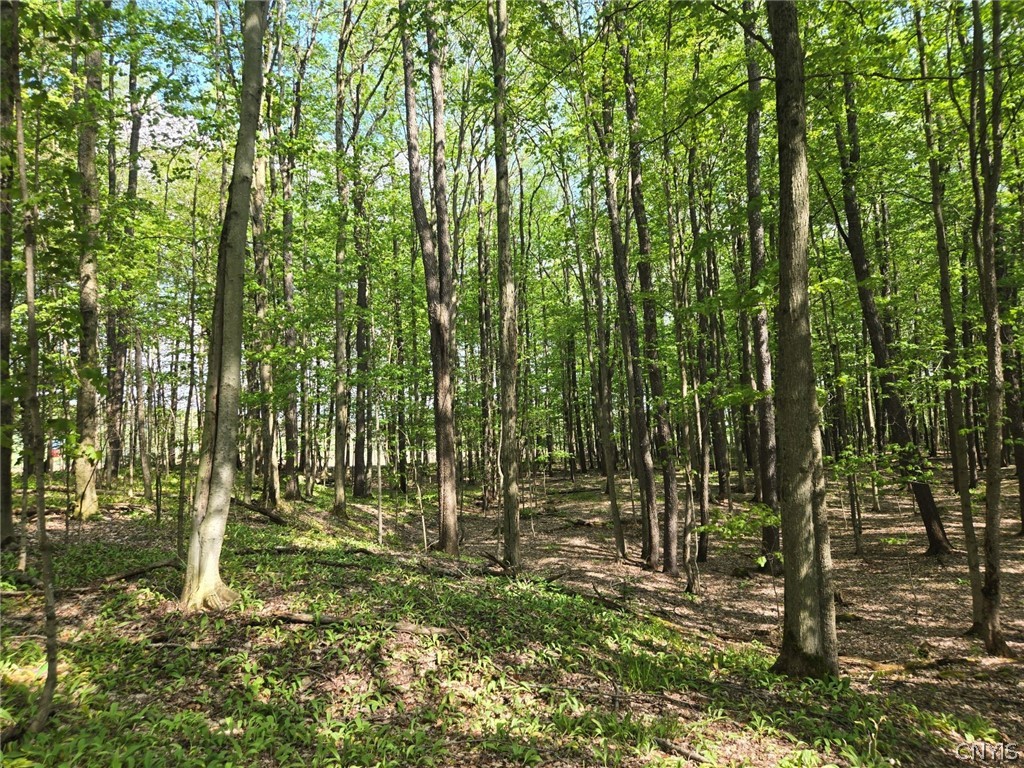Pochuck Road Bliss, NY 14024 - Photo 6 of 23
