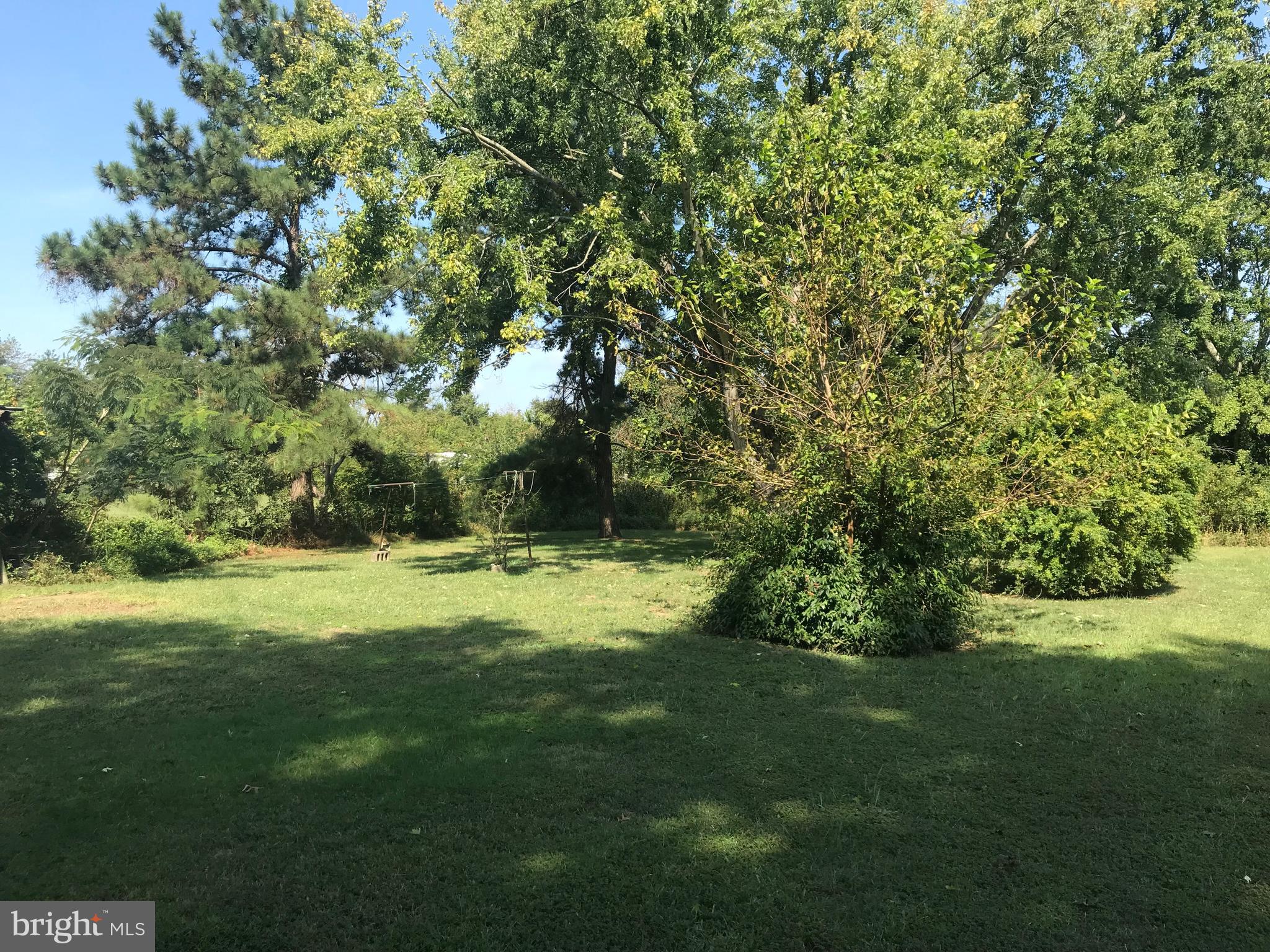 110 Hynson Road Chestertown, MD 21620 - Photo 3 of 9 Yard