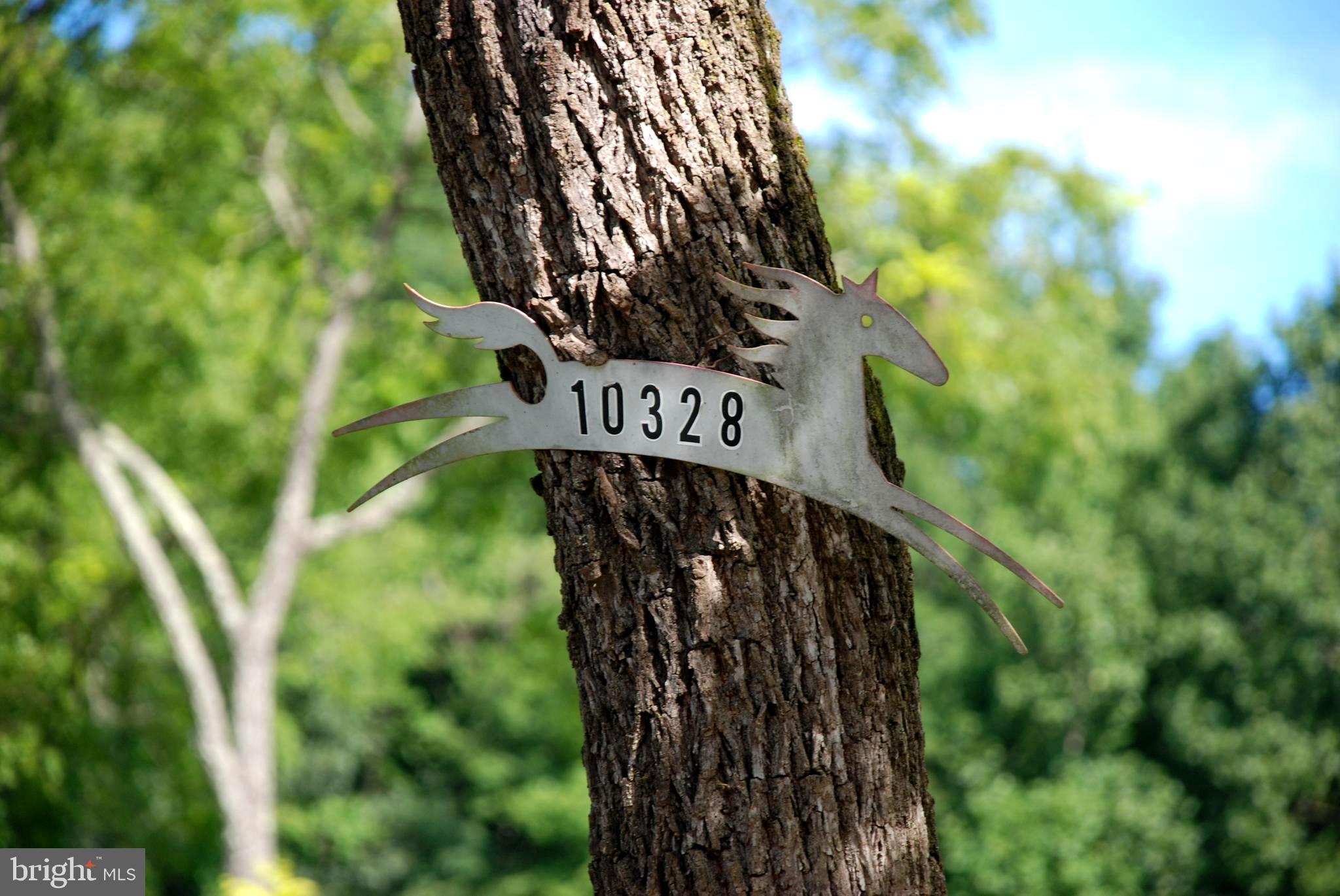 10328 Jamesons Mill Road Culpeper, VA 22701 - Photo 4 of 62 Gallery Image 4