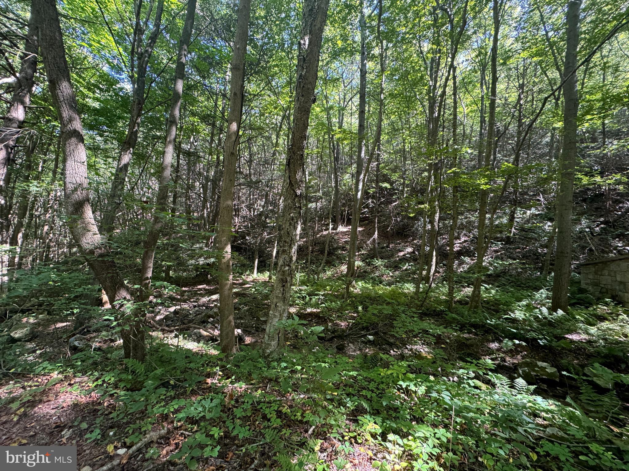 Three Laurel Mountain Road Three Springs, PA 17264 - Photo 7 of 31 Gallery Image 7