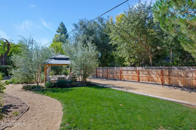 a row of palm trees in the middle of a garden