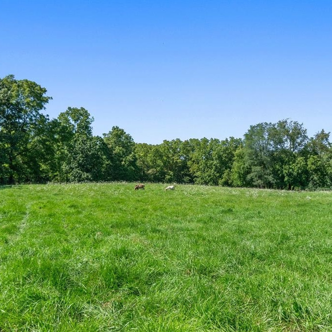 10202 Hogan Road Manchester, MI 48158 - Photo 62 of 87 Photo 63