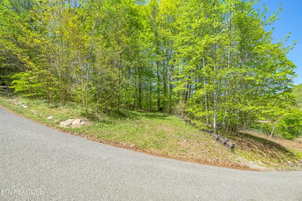 $339,000 | Lot 51 South Shorewood Drive, Caryville, TN 37714