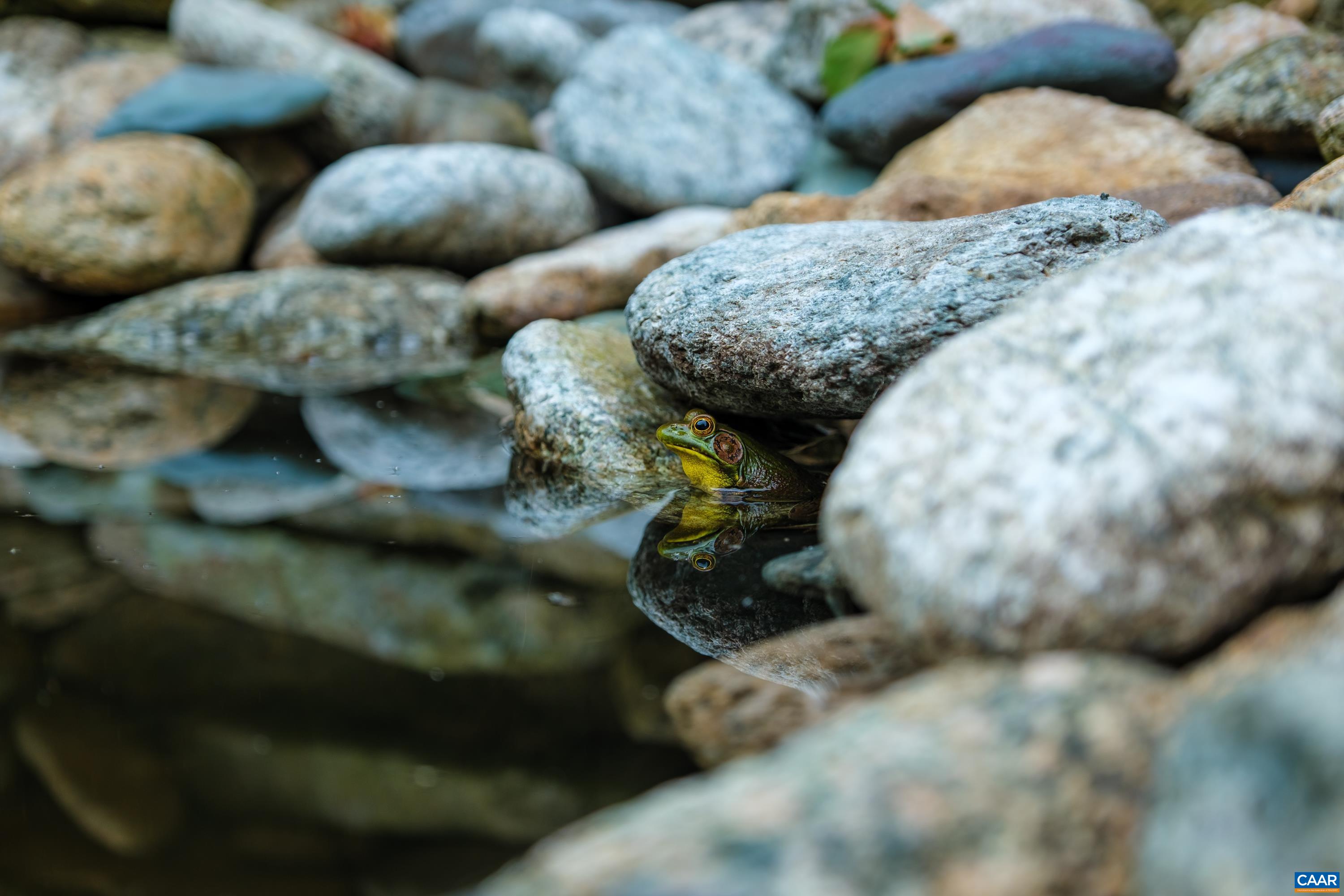 4375 Taylor Creek Road Afton, VA 22920 - Photo 66 of 75 a view of a couch in a yard