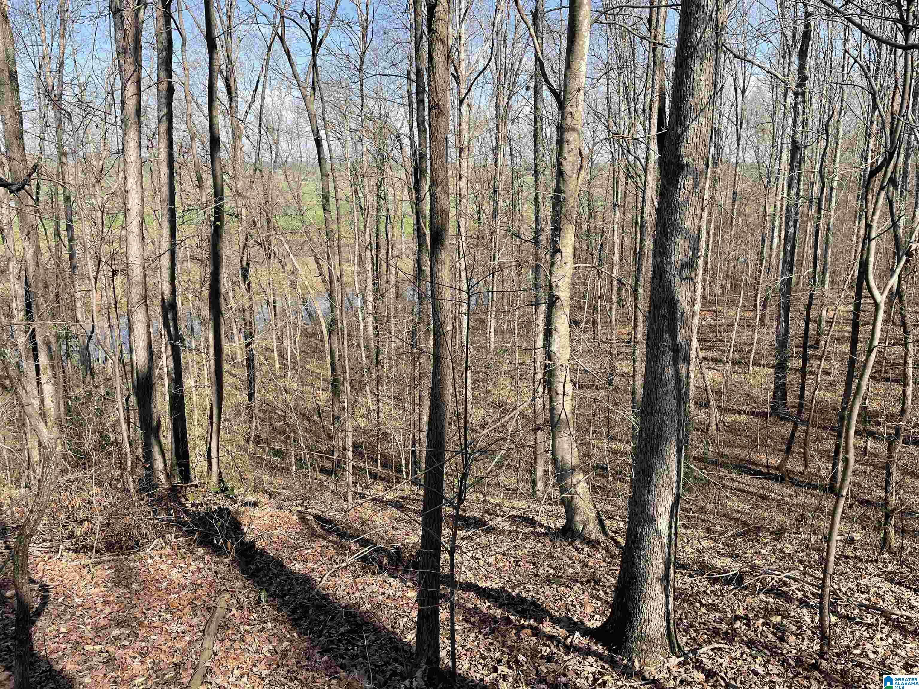 0 County Road 159, Unit 79 AC Heflin, AL 36264 - Photo 10 of 14