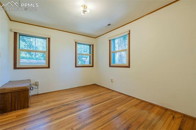 10145 Wildwood Road Cascade, CO 80809 - Photo 15 of 29 Gallery Image 15