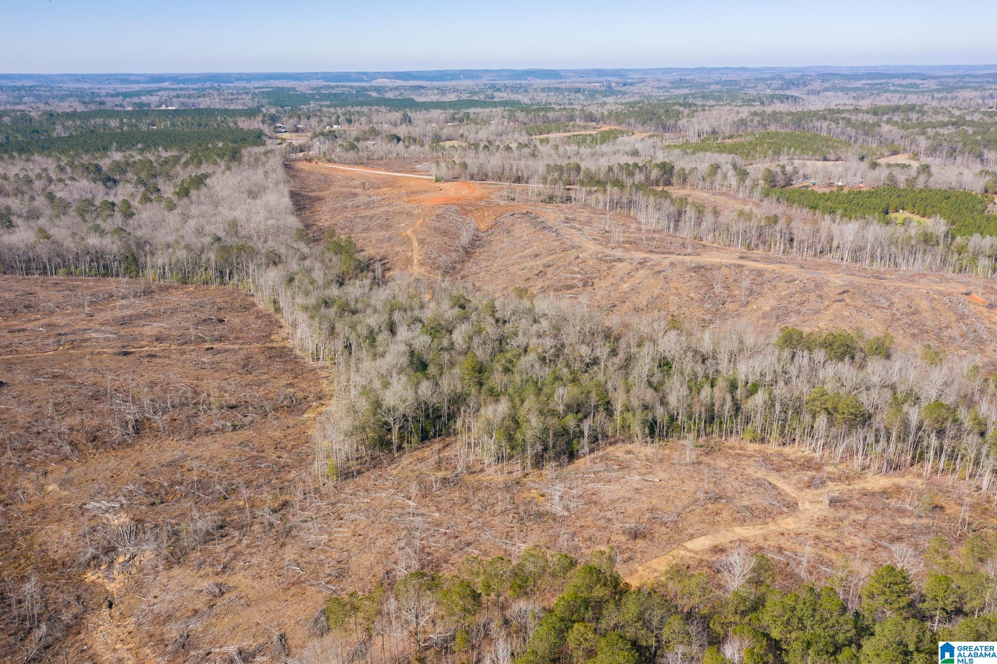 0 Harless Road Northport, AL 35475 - Photo 24 of 34