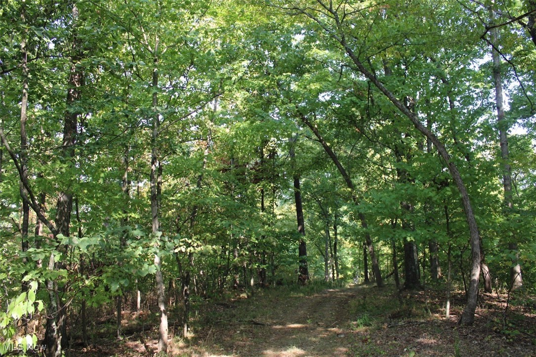 Leffler Road Roseville, OH 43777 - Photo 44 of 49 View of nature