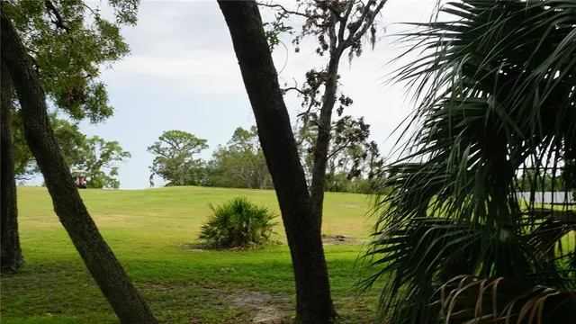 a view of a lake from a yard