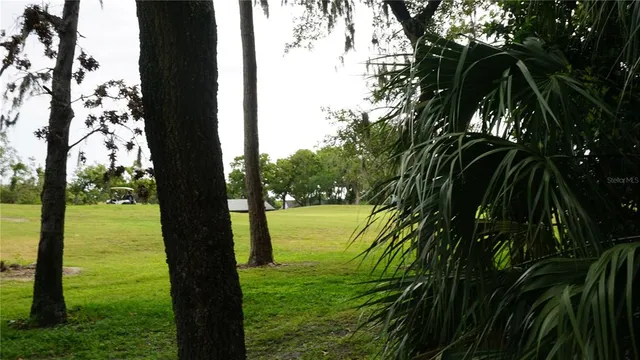 a view of a backyard of the house