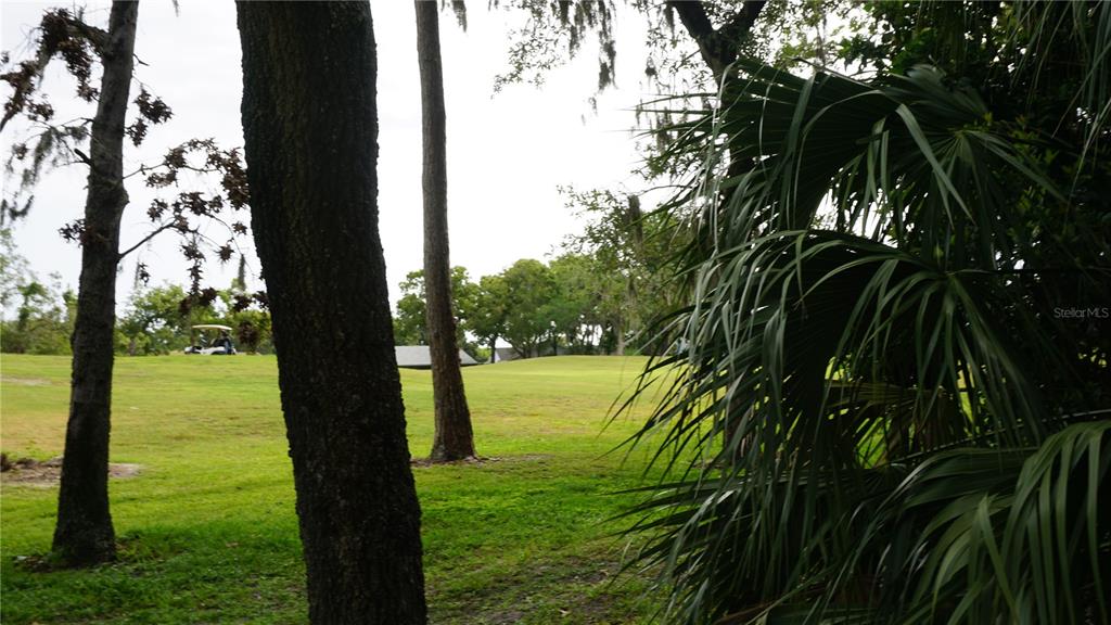 13012 Wedgewood Way, Unit A Hudson, FL 34667 - Photo 26 of 29 a view of a lake from a yard
