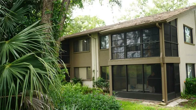 a view of an trees with a yard