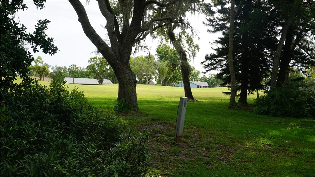 13012 Wedgewood Way, Unit A Hudson, FL 34667 - Photo 28 of 29 a view of an trees with a yard