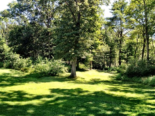 89 Greenbrook Road Hamilton, MA 01982 - Photo 5 of 7 Gallery Image 5