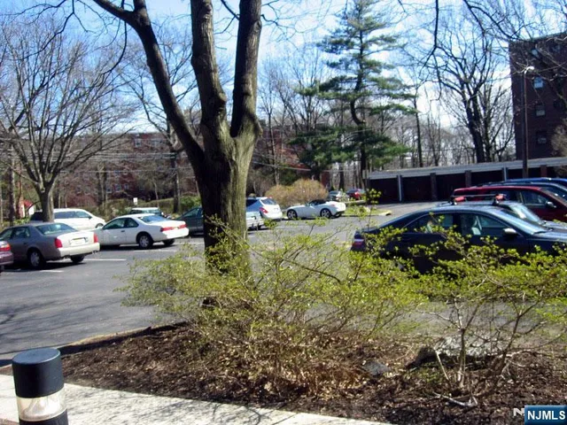 a view of outdoor space with lots of trees and cars