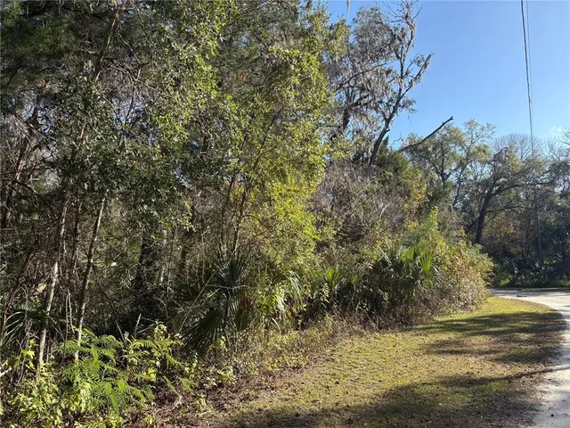 a view of a yard with a tree