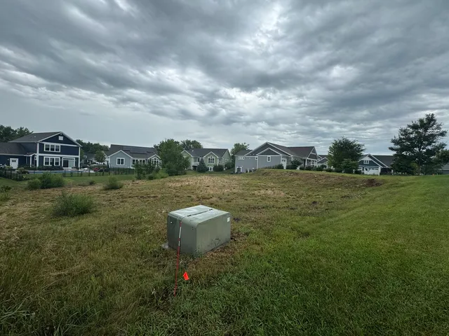 a view of a lake from a yard