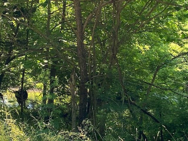 0 Corinth Road Falmouth, KY 41040 - Photo 1 of 1 Gallery Image 1
