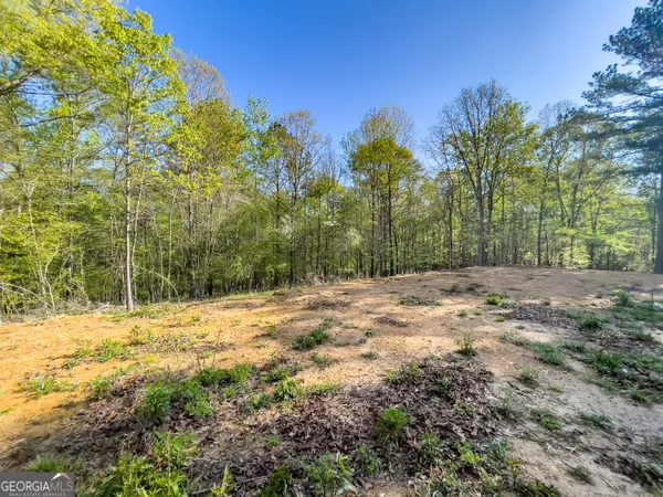 $150,000 | 0 June Kemp Road, Aragon, GA 30104