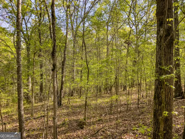 $150,000 | 0 June Kemp Road, Aragon, GA 30104