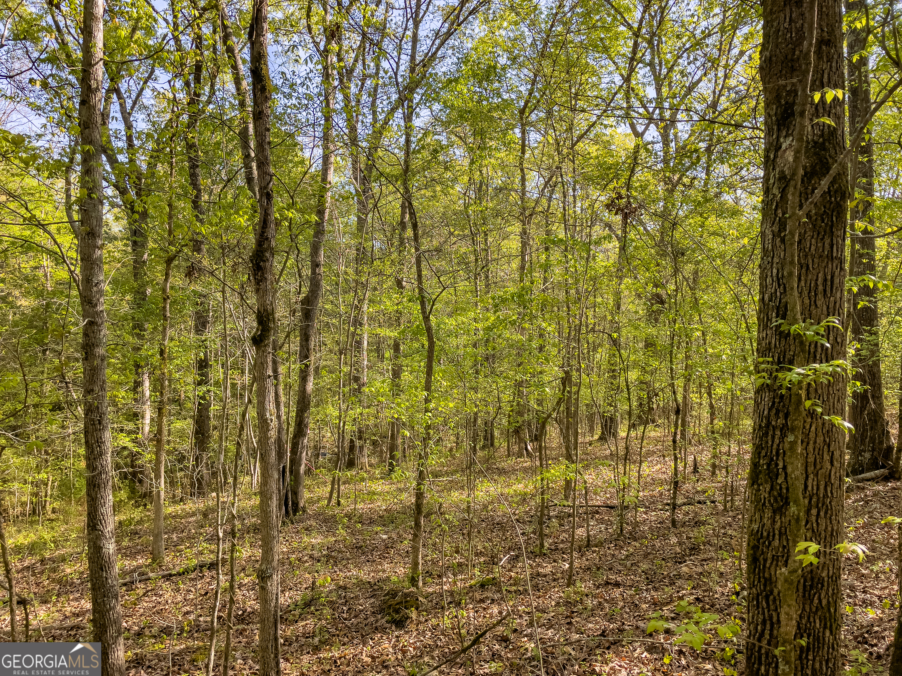 0 June Kemp Road Aragon, GA 30104 - Photo 12 of 22