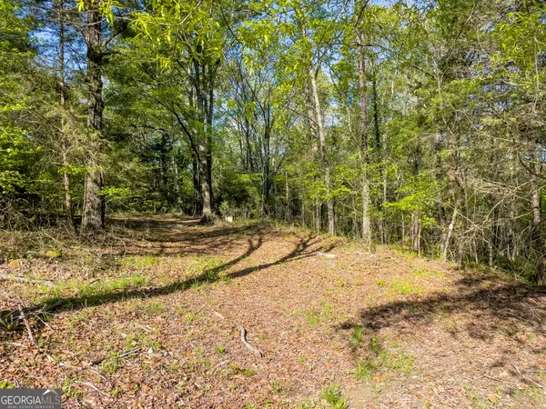 $150,000 | 0 June Kemp Road, Aragon, GA 30104