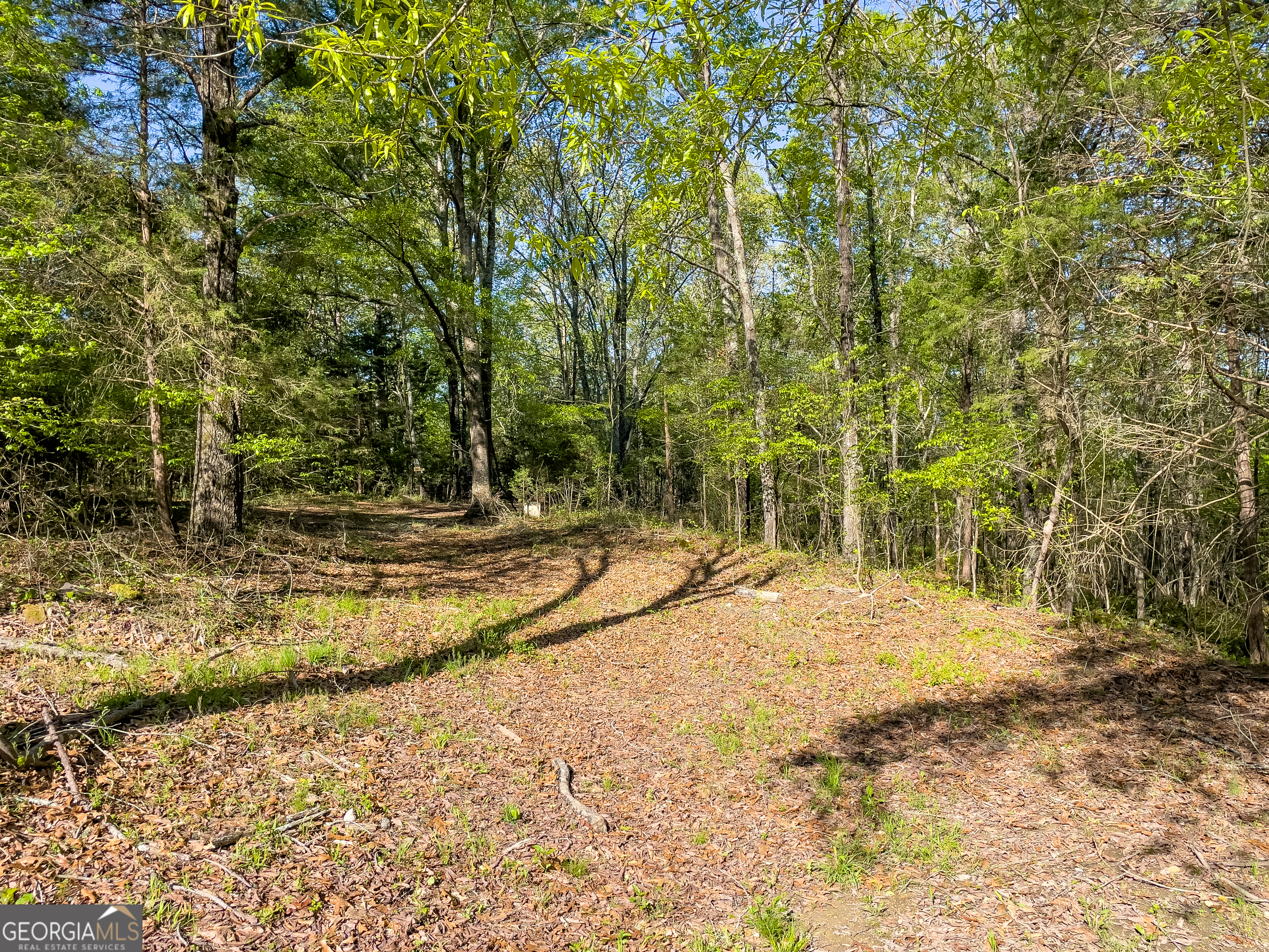 0 June Kemp Road Aragon, GA 30104 - Photo 13 of 22