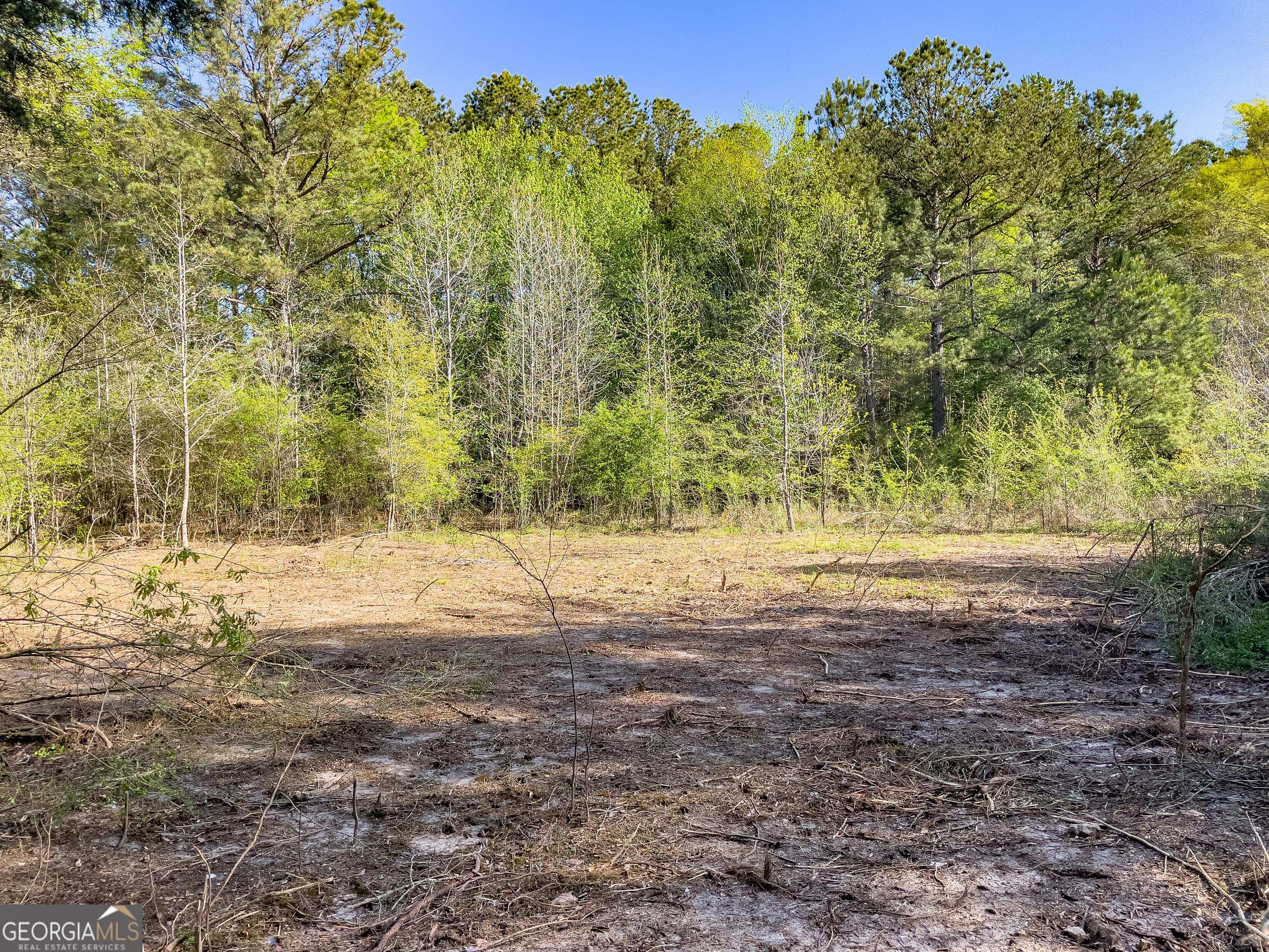 0 June Kemp Road Aragon, GA 30104 - Photo 16 of 22