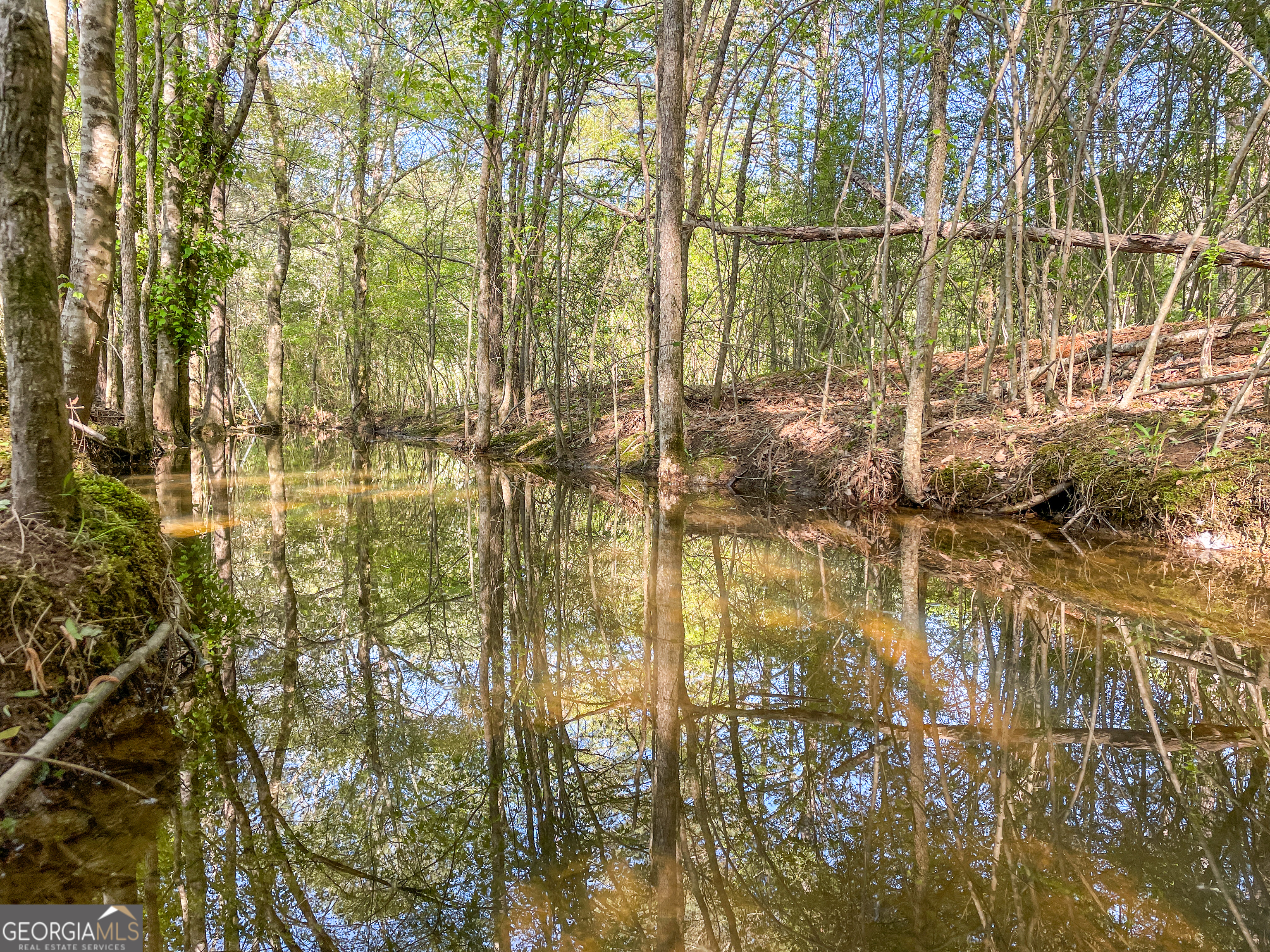 0 June Kemp Road Aragon, GA 30104 - Photo 17 of 22