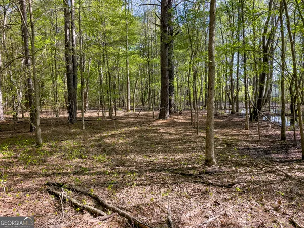$150,000 | 0 June Kemp Road, Aragon, GA 30104