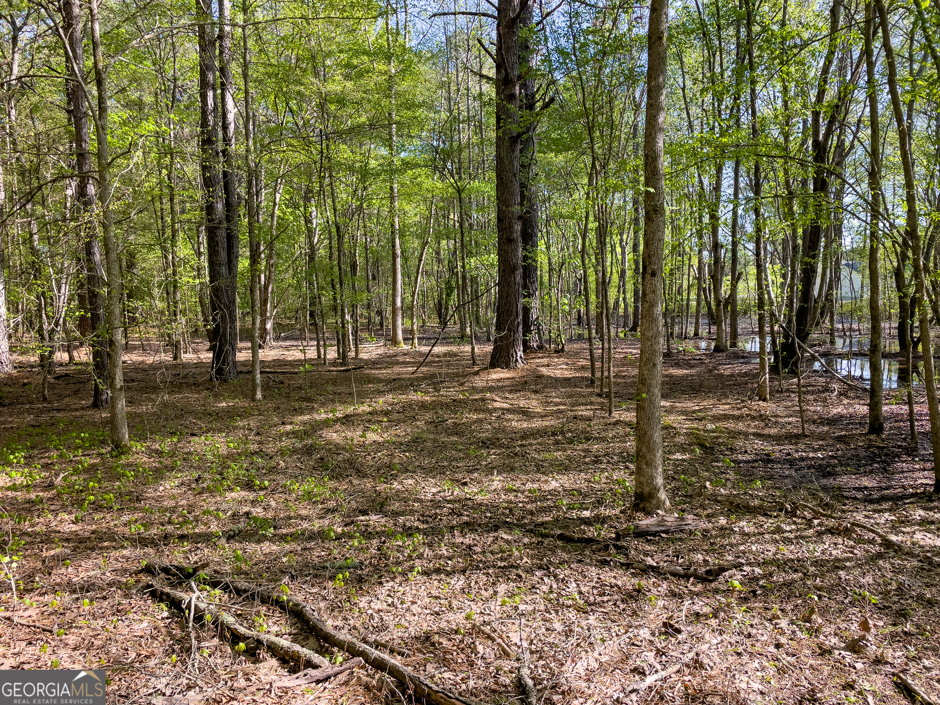 0 June Kemp Road Aragon, GA 30104 - Photo 18 of 22