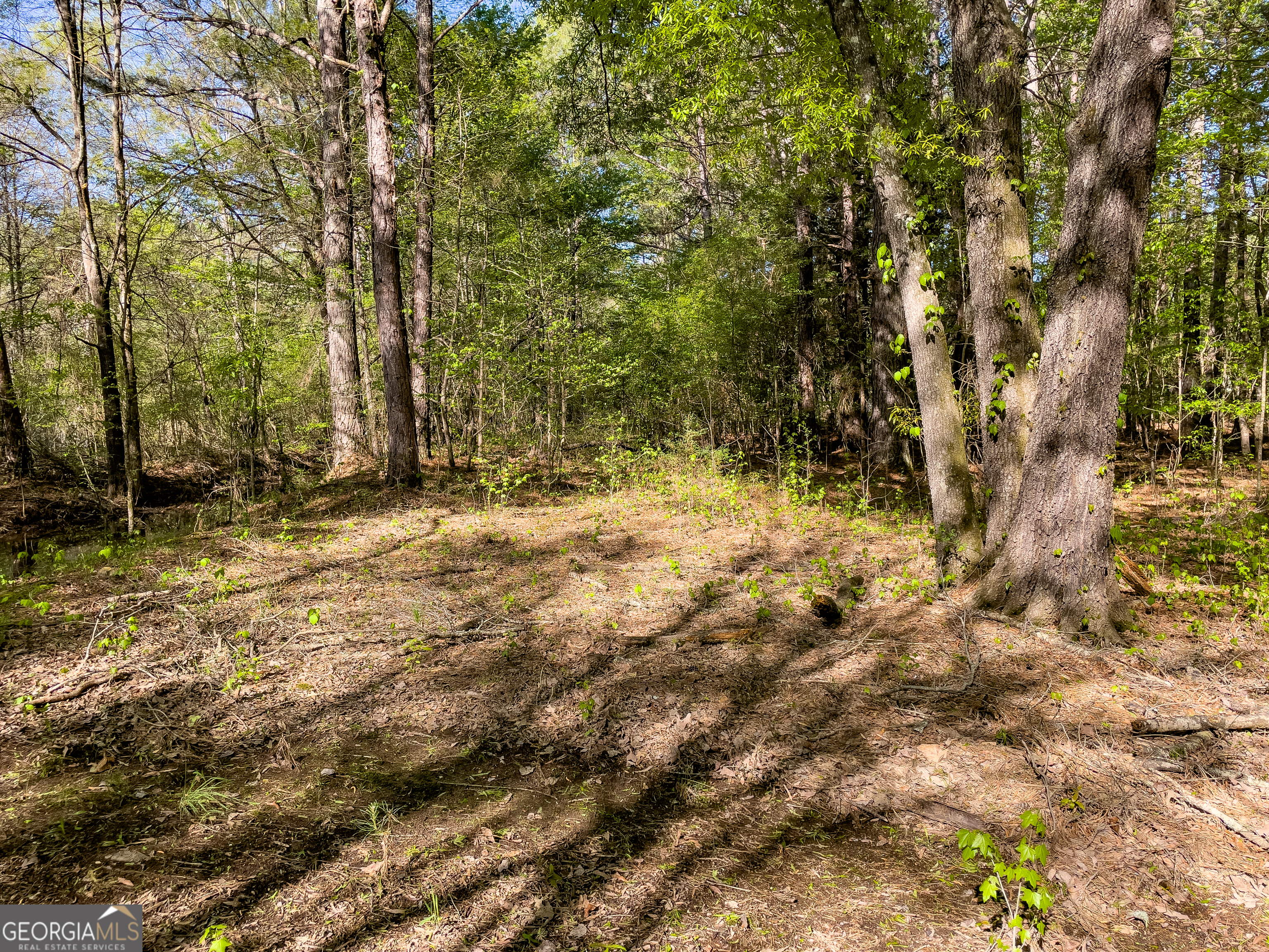 0 June Kemp Road Aragon, GA 30104 - Photo 19 of 22