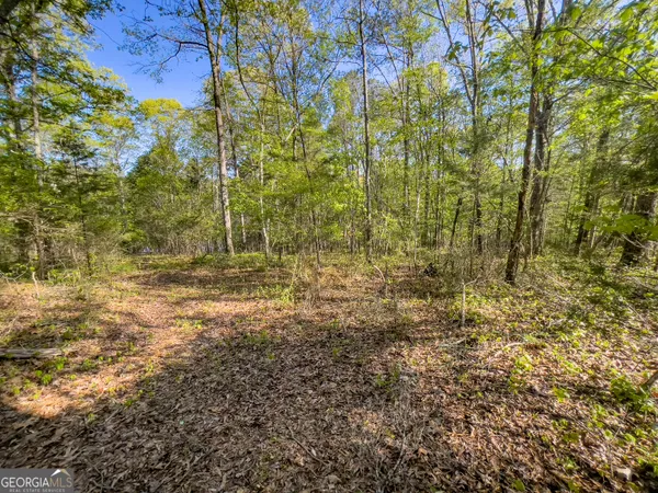 $150,000 | 0 June Kemp Road, Aragon, GA 30104