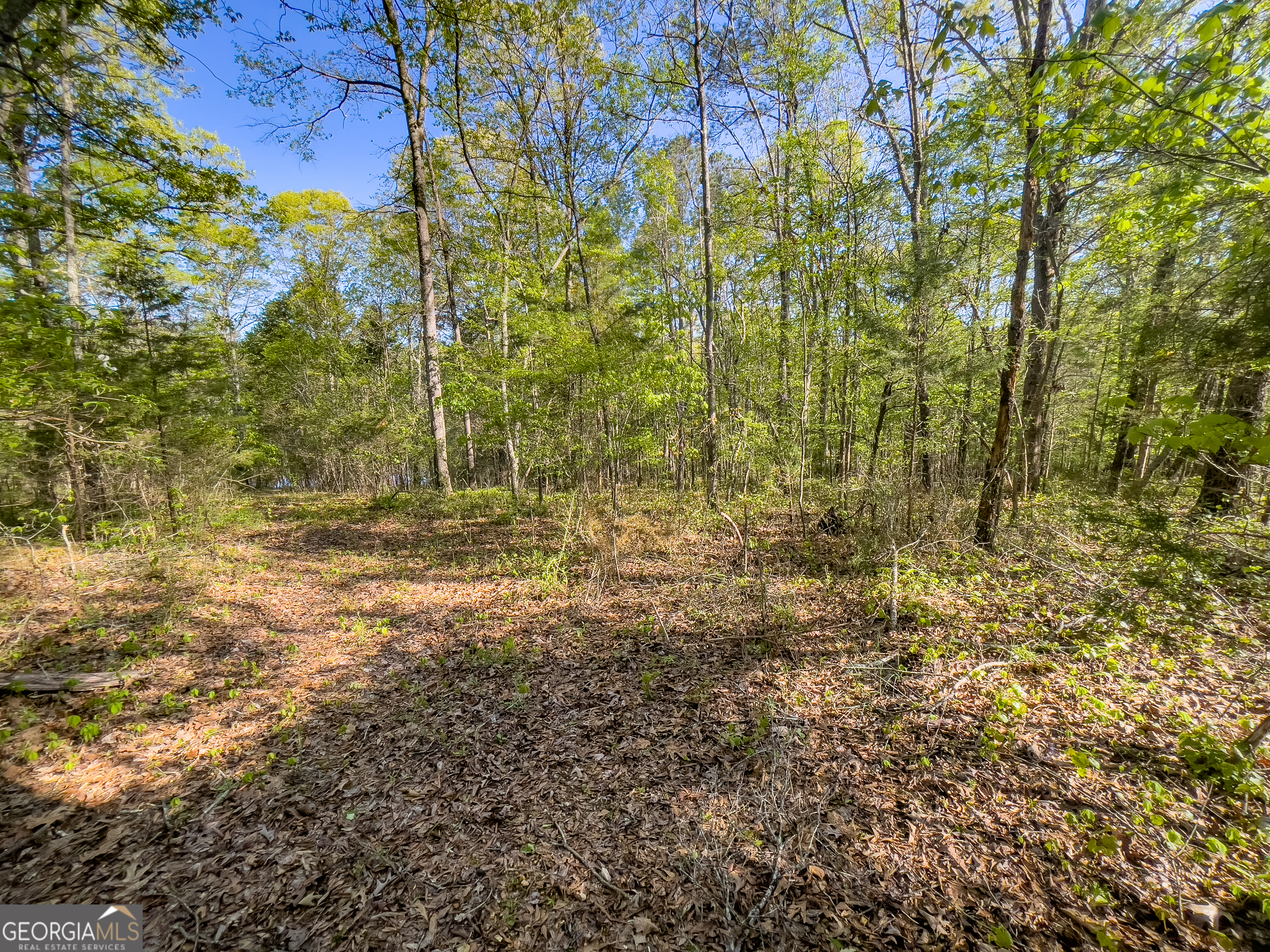 0 June Kemp Road Aragon, GA 30104 - Photo 2 of 22