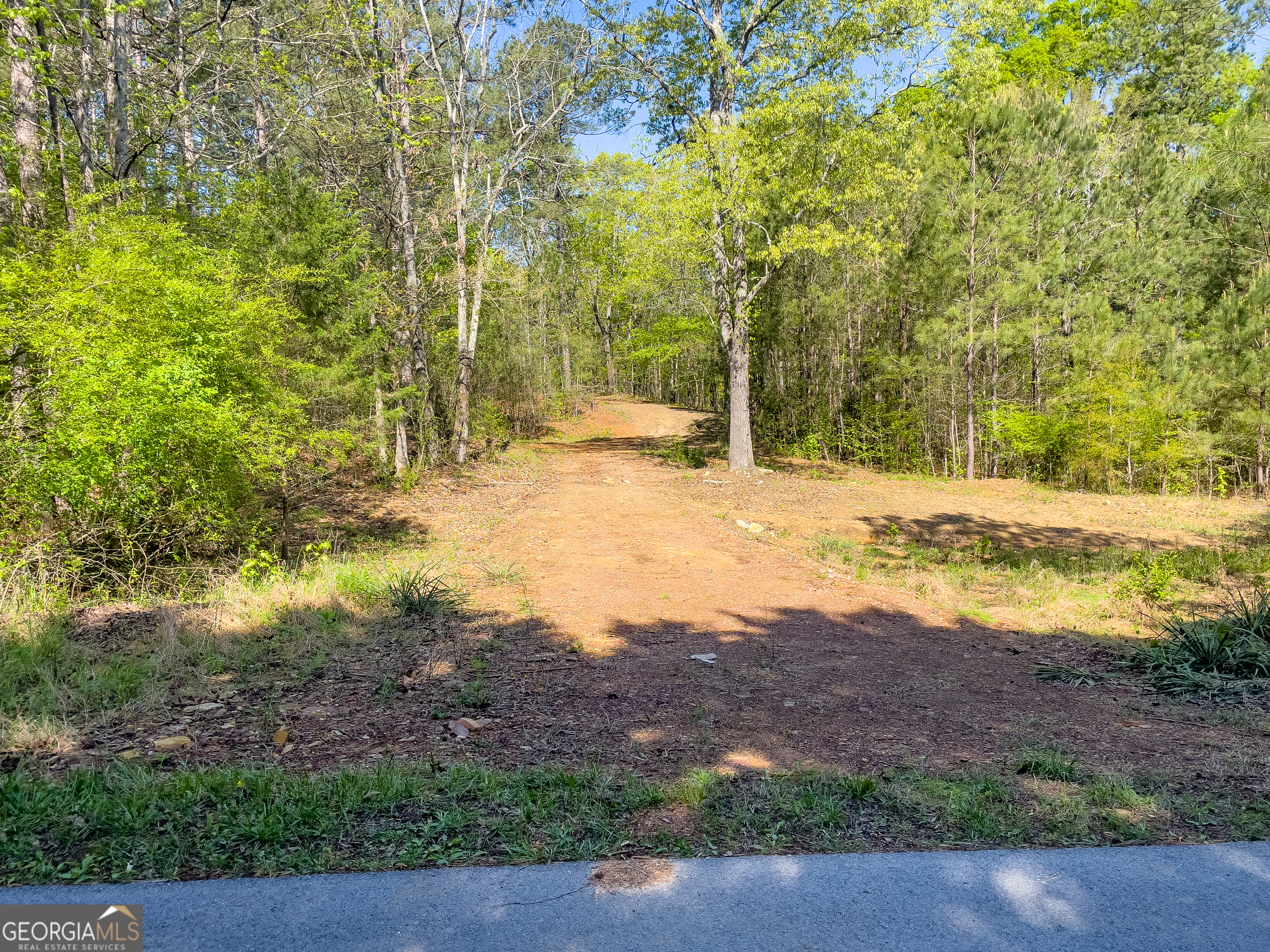 0 June Kemp Road Aragon, GA 30104 - Photo 22 of 22