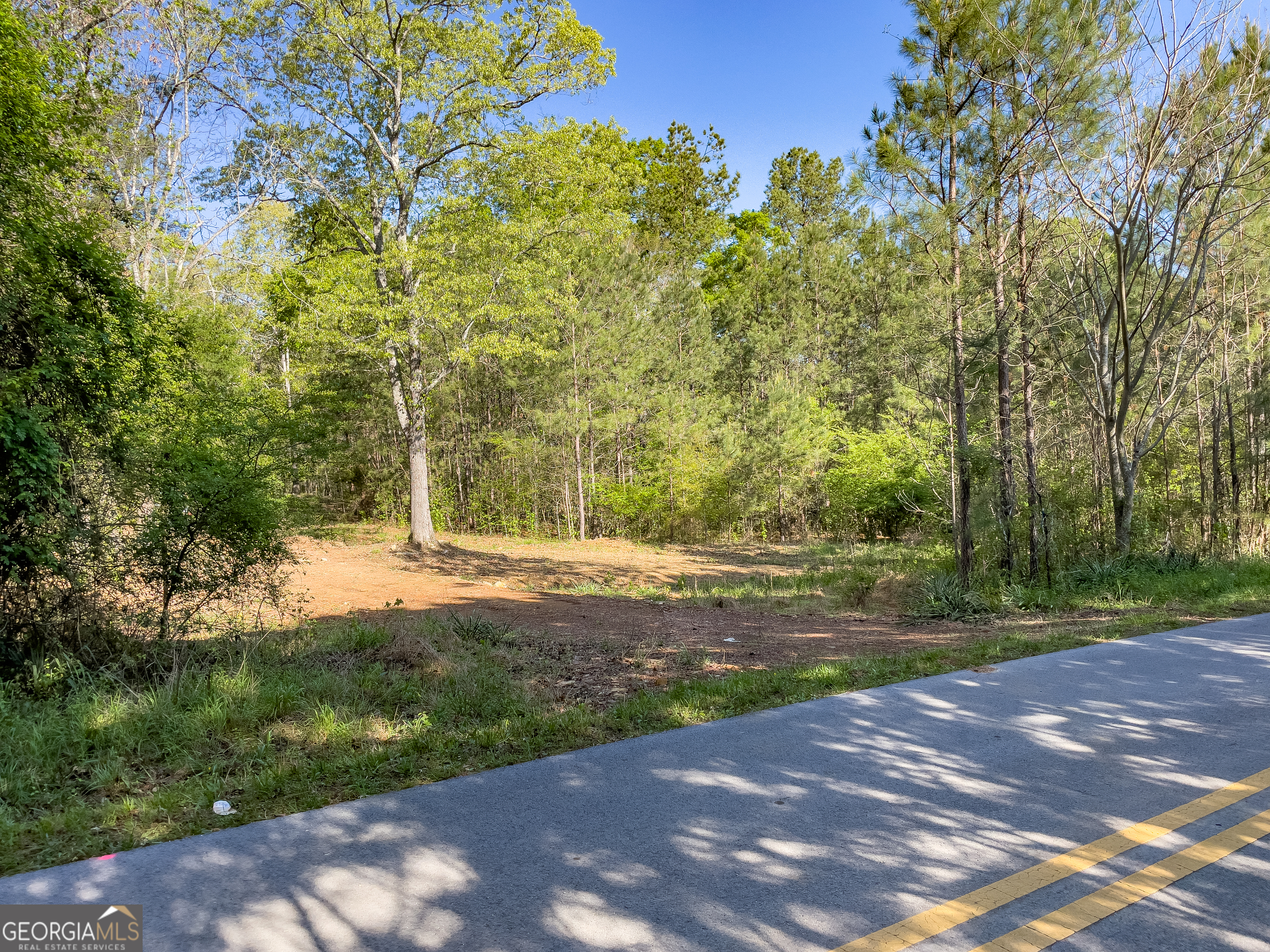 0 June Kemp Road Aragon, GA 30104 - Photo 3 of 22