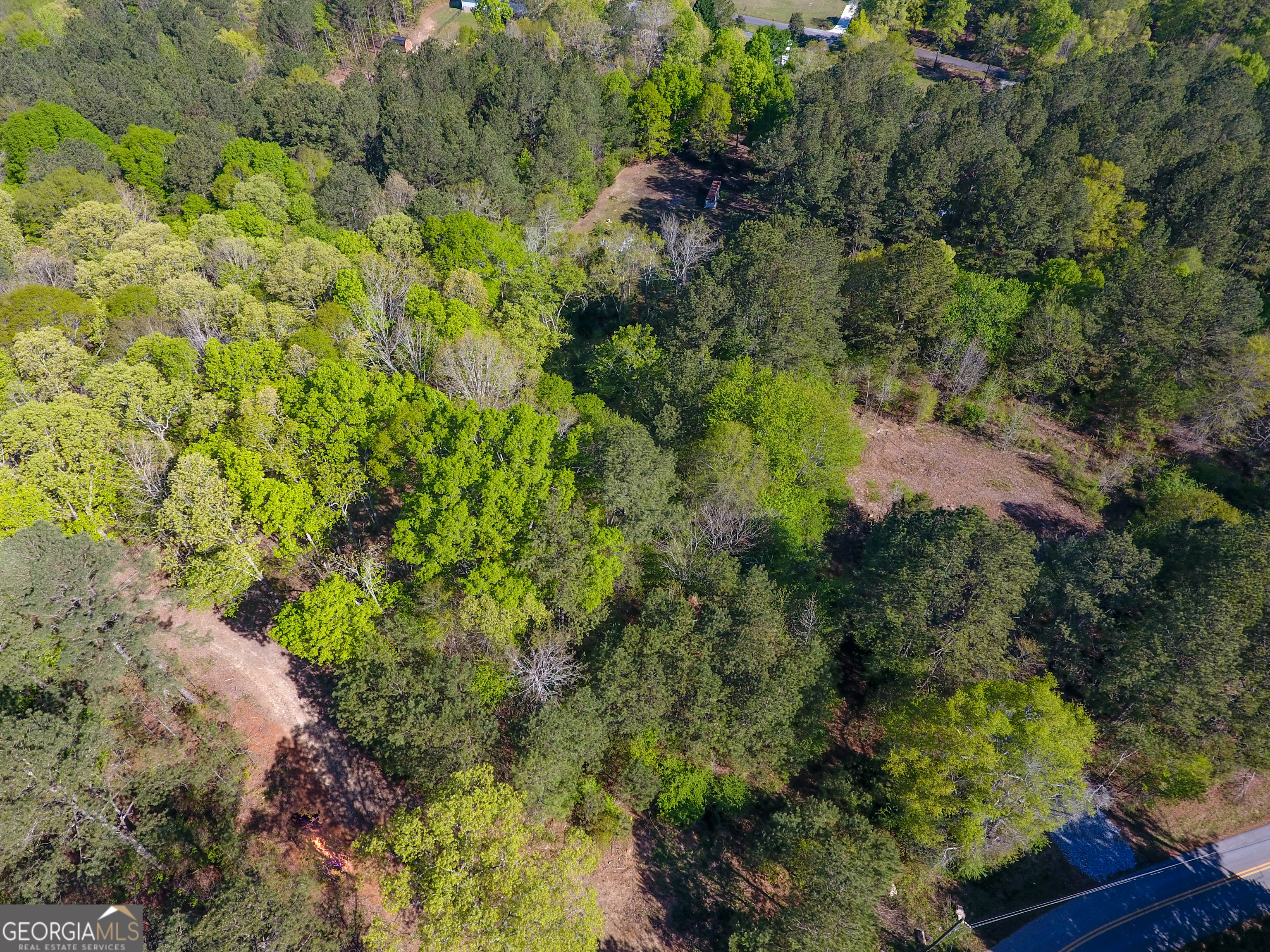 0 June Kemp Road Aragon, GA 30104 - Photo 4 of 22