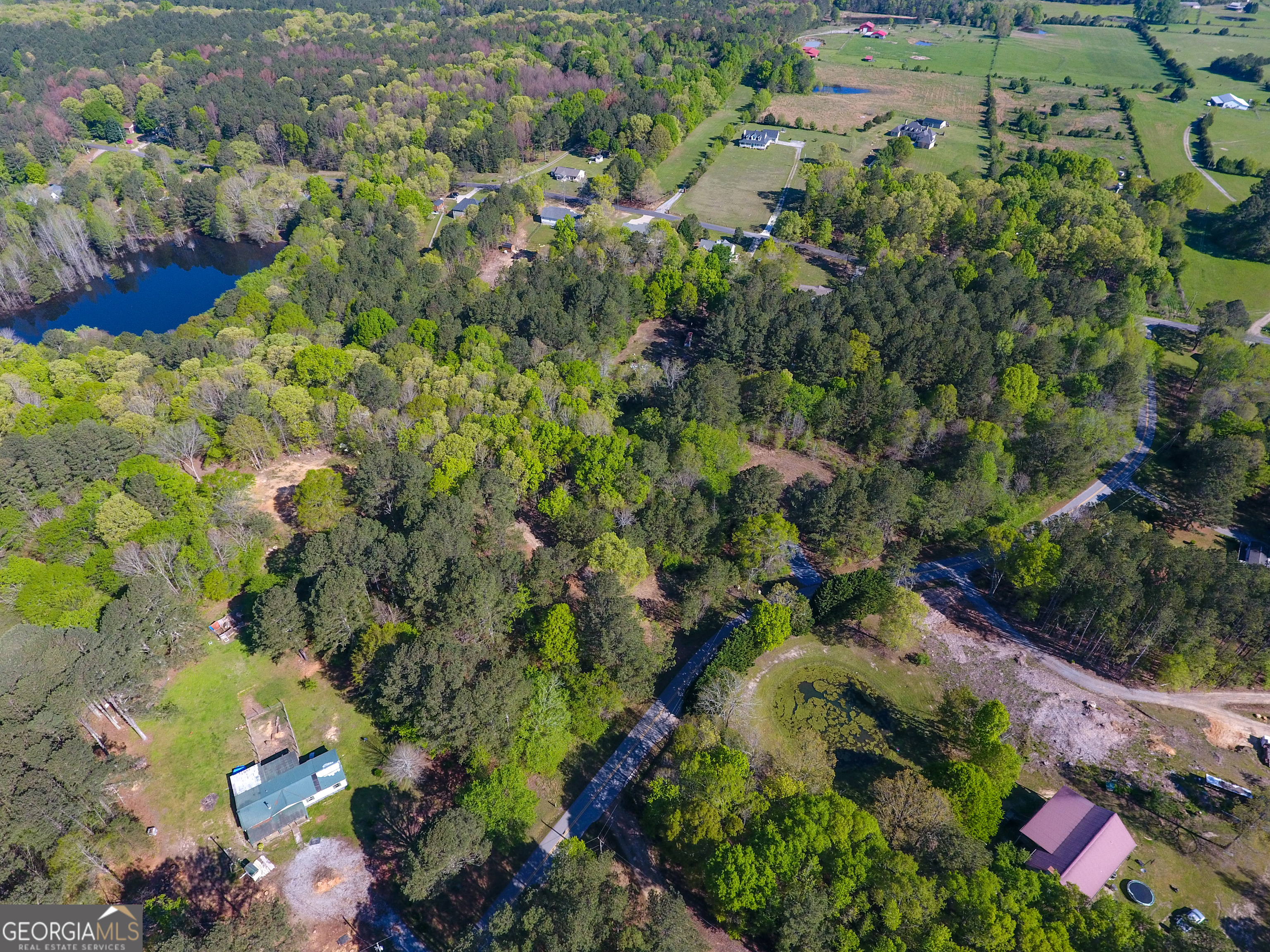 0 June Kemp Road Aragon, GA 30104 - Photo 5 of 22