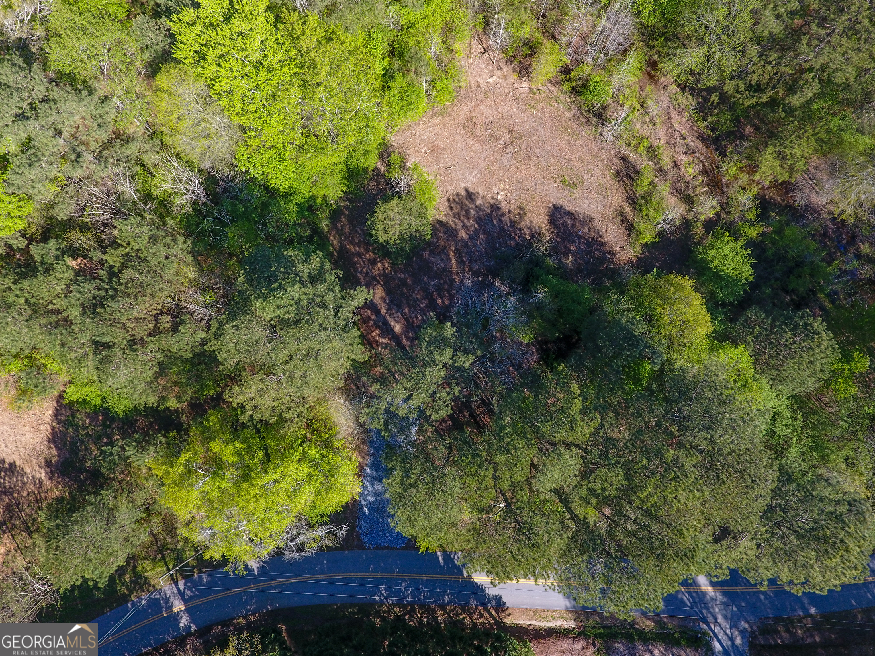 0 June Kemp Road Aragon, GA 30104 - Photo 6 of 22