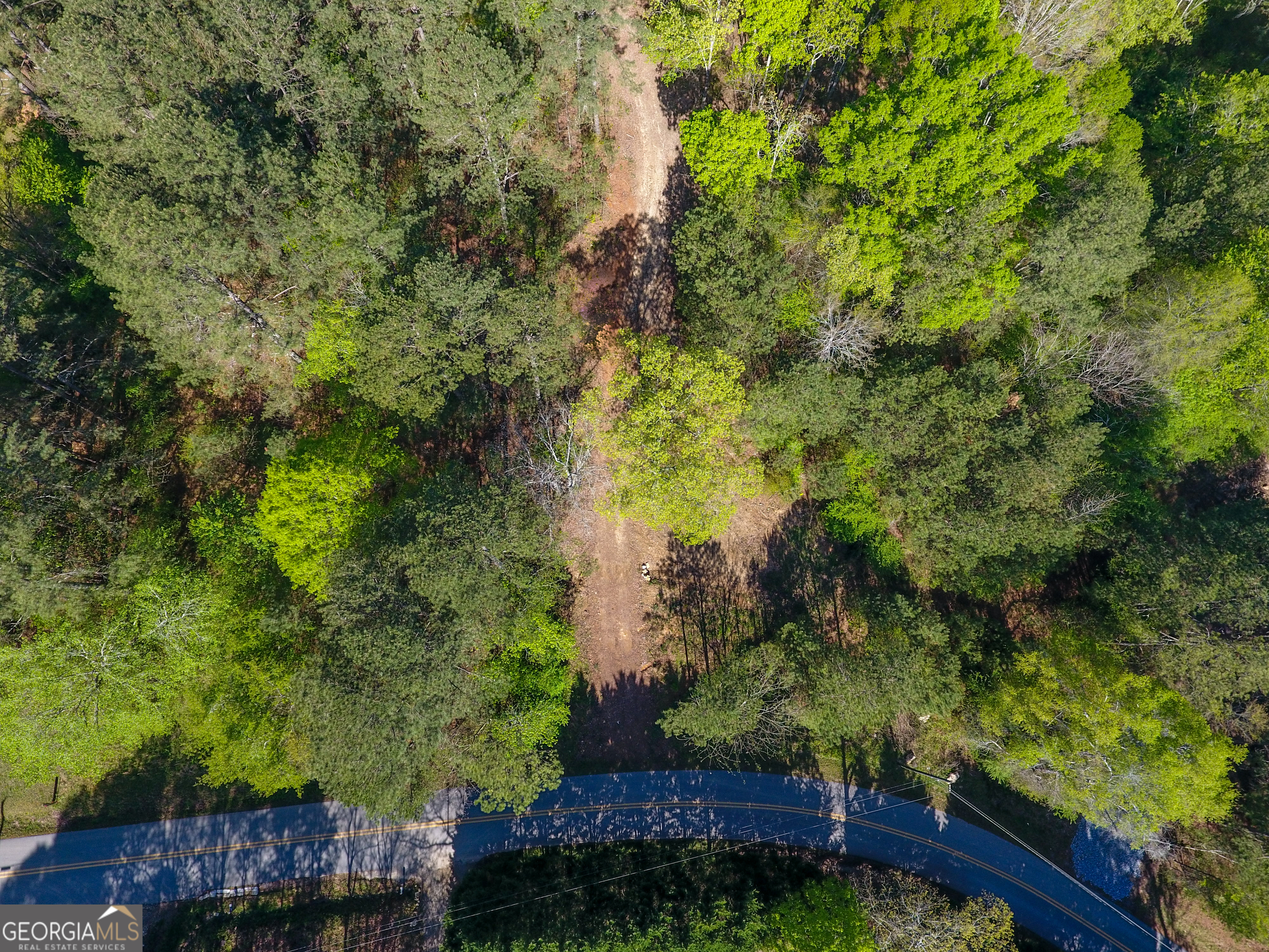 0 June Kemp Road Aragon, GA 30104 - Photo 8 of 22