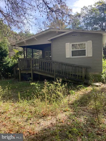 a view of a backyard with plants