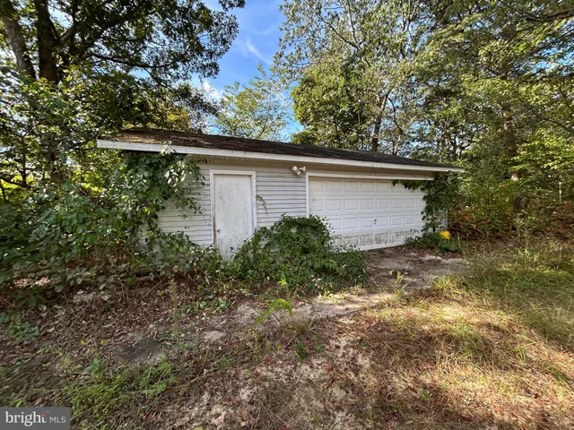 a backyard of a house with plants and large tree
