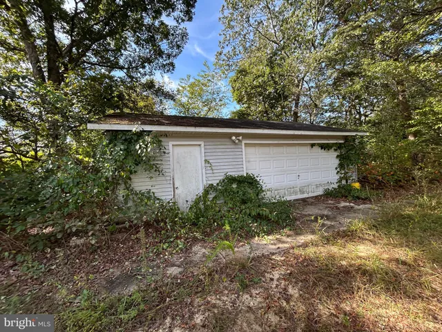 a backyard of a house with plants and large tree