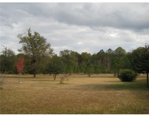32115 Weiss Road Walker, LA 70785 - Photo 19 of 21