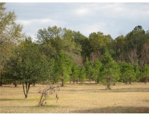 32115 Weiss Road Walker, LA 70785 - Photo 20 of 21