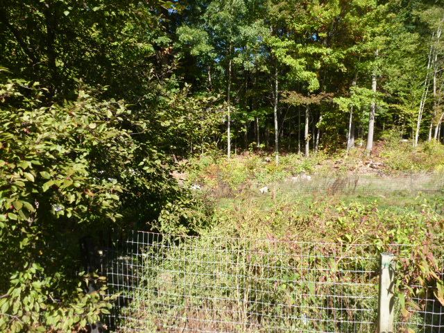 259 Hampstead Road Derry, NH 03038 - Photo 6 of 40