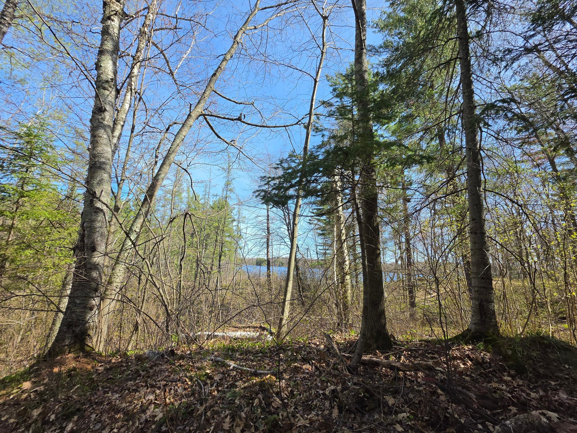 Lot 5 Little Bearskin Road Harshaw, WI 54529 - Photo 16 of 27