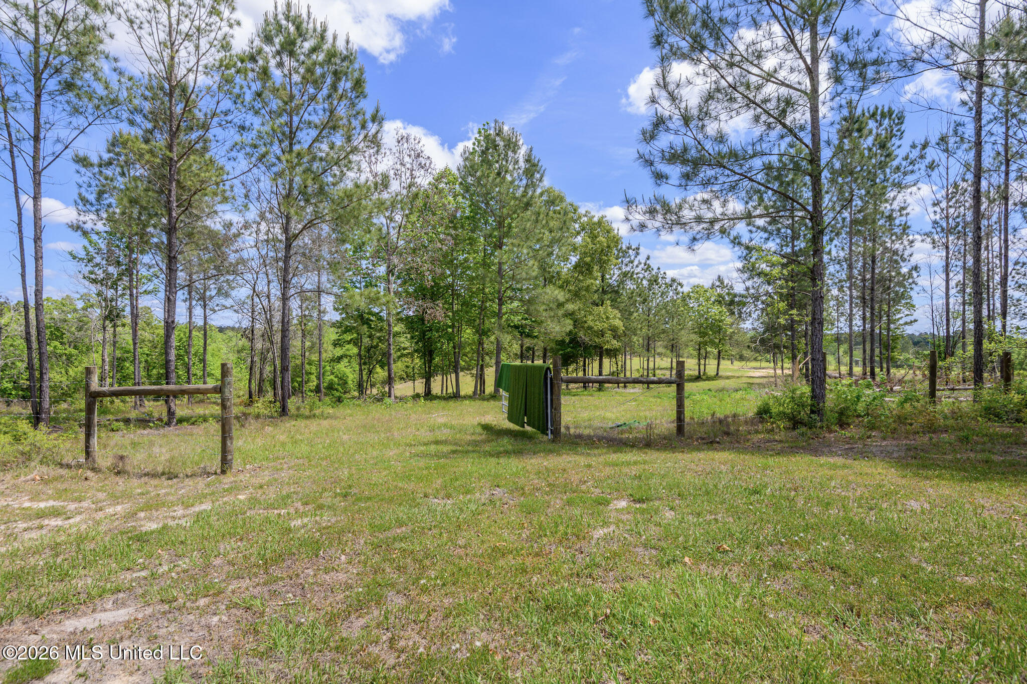 3236 Fowl Road Leakesville, MS 39451 - Photo 37 of 57 FowlRd3236-45