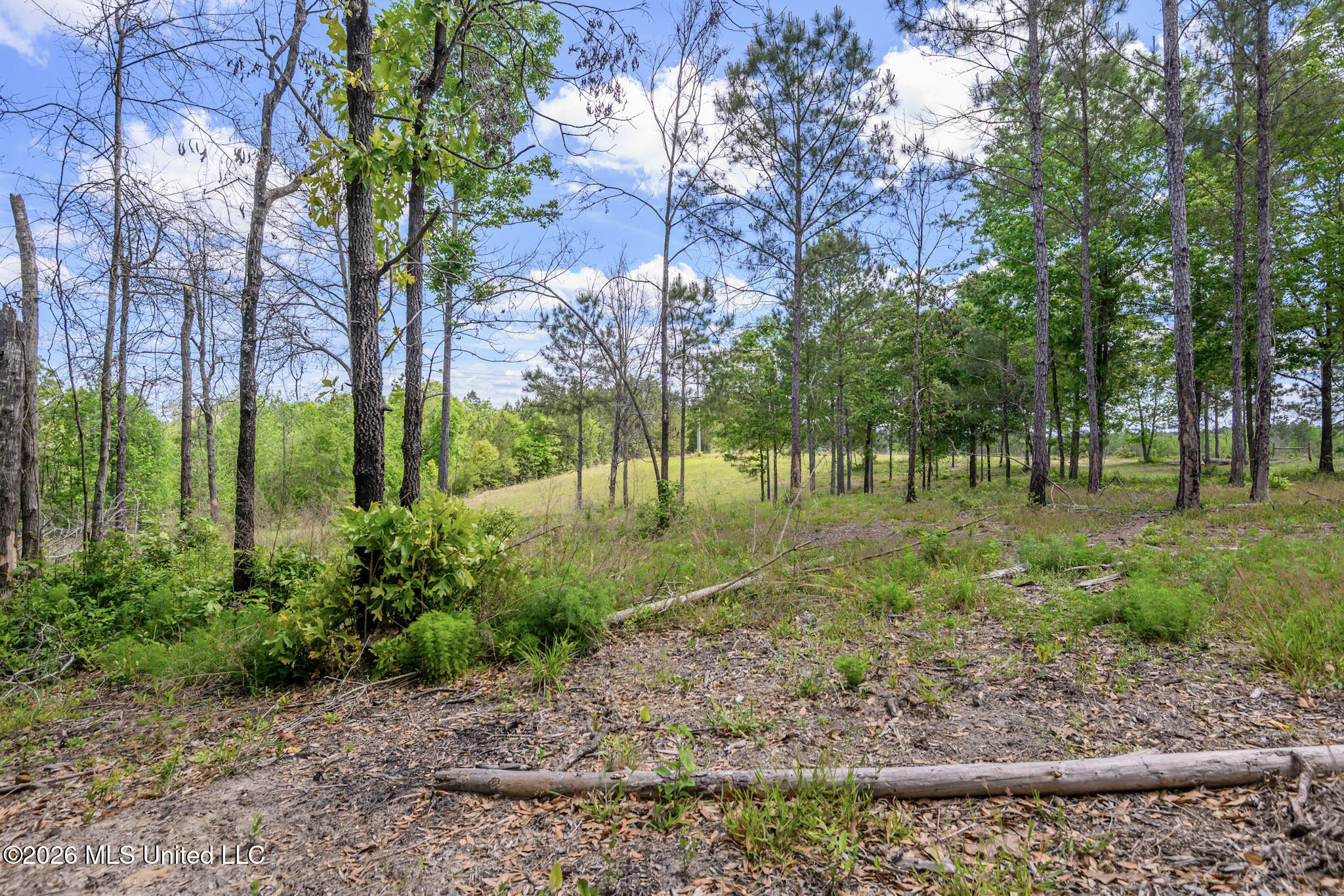 3236 Fowl Road Leakesville, MS 39451 - Photo 38 of 57 FowlRd3236-46